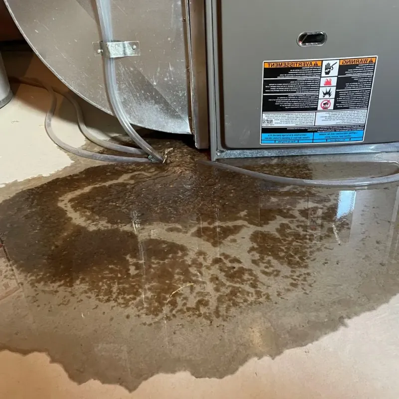 Pipe Burst and Leak Restoration in Marion County, OR