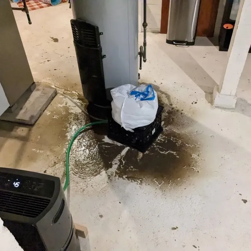 Sewage Backup Cleanup Service in Marion County, OR